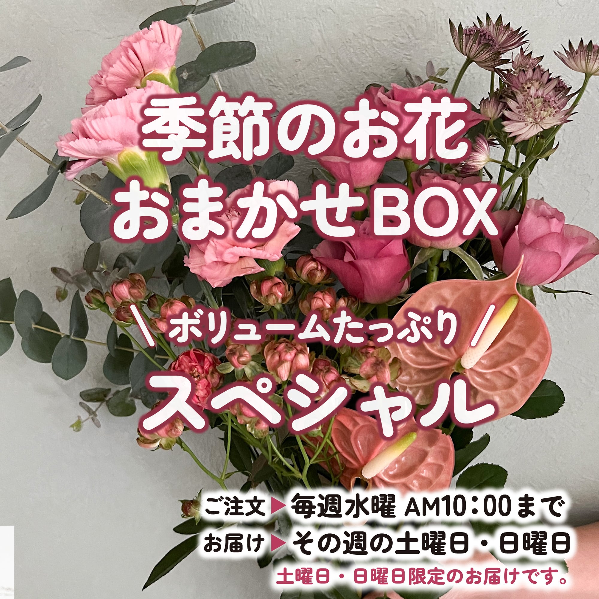 ボリュームたっぷり☆季節のお花☆おまかせBOX《スペシャル》毎月お花を変更
