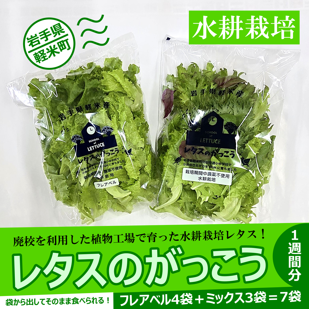 植物工場発！】水耕栽培レタス「レタスのがっこう」1週間分（7袋
