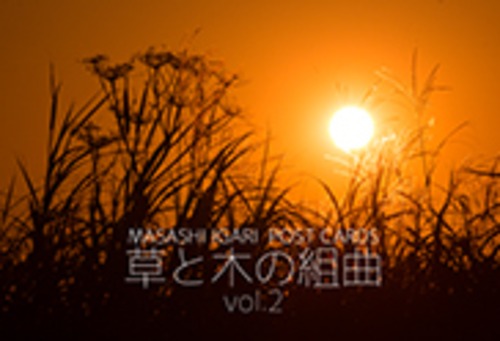 【ポストカード】草と木の組曲vol.2