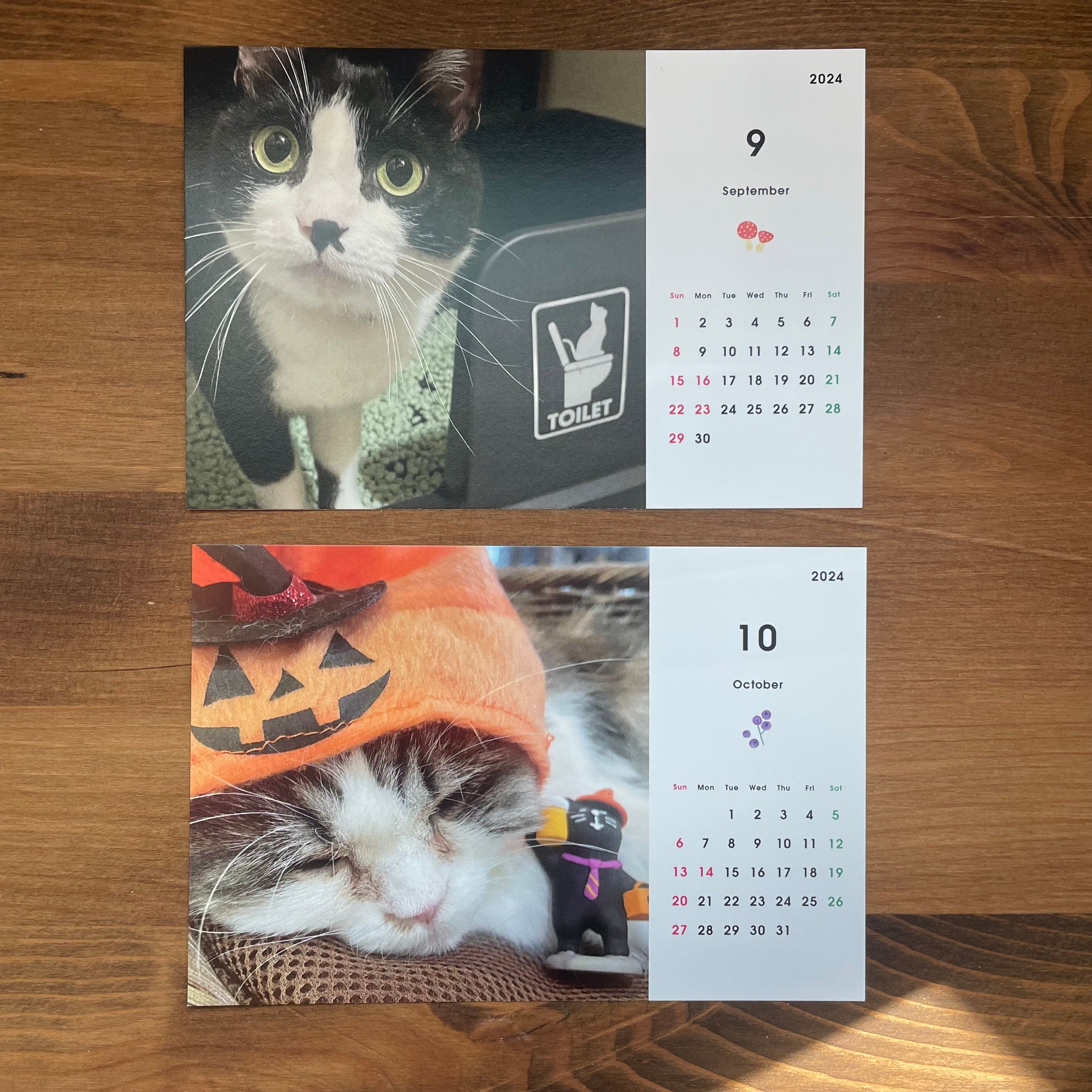 ムーン＆マリィカレンダー｜卓上〈2024〉猫 ネコ 猫カレンダー 猫柄 猫雑貨 卓上 ポストカードサイズ 保護活動支援 看板猫