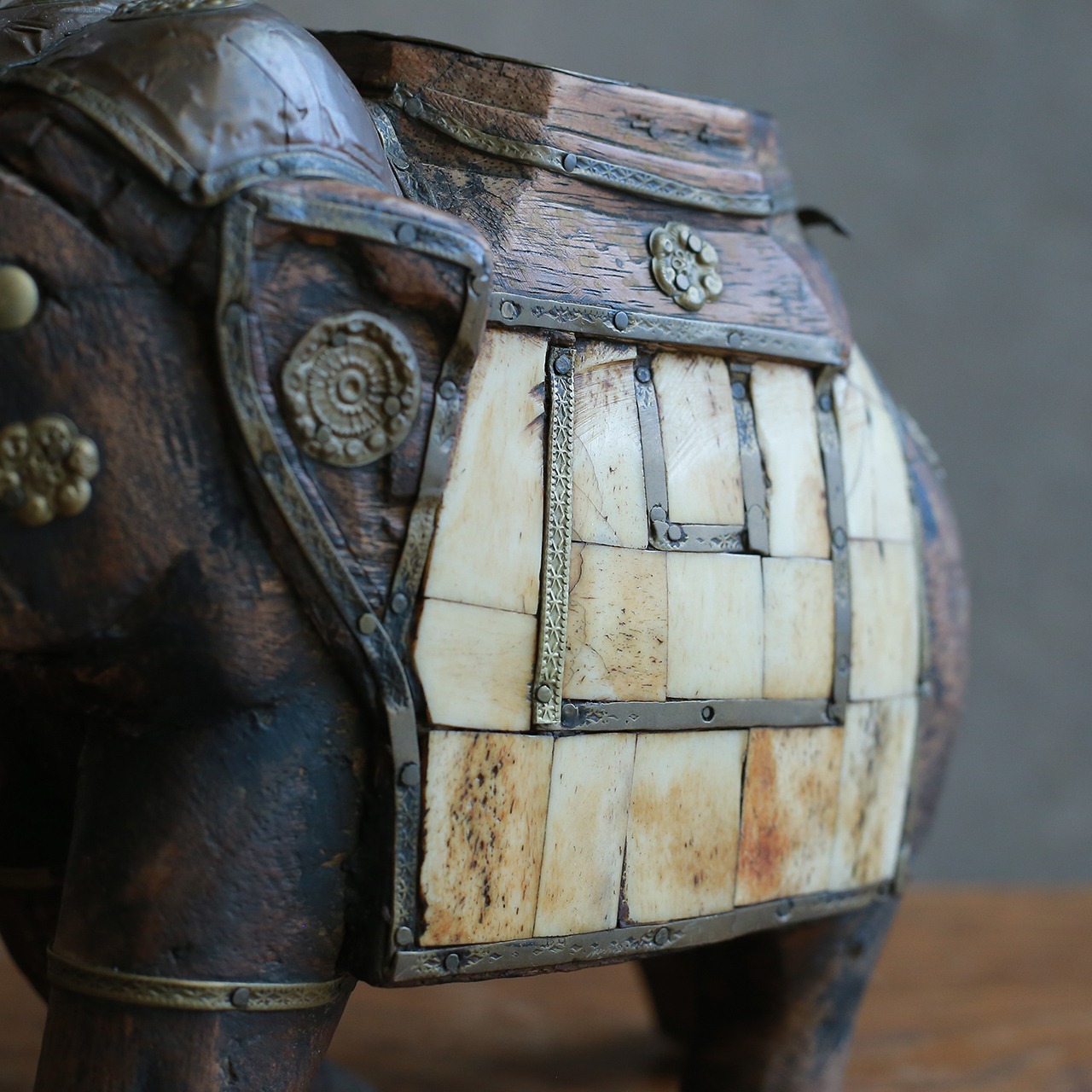 インドからやって来た、プリミティブな象 8