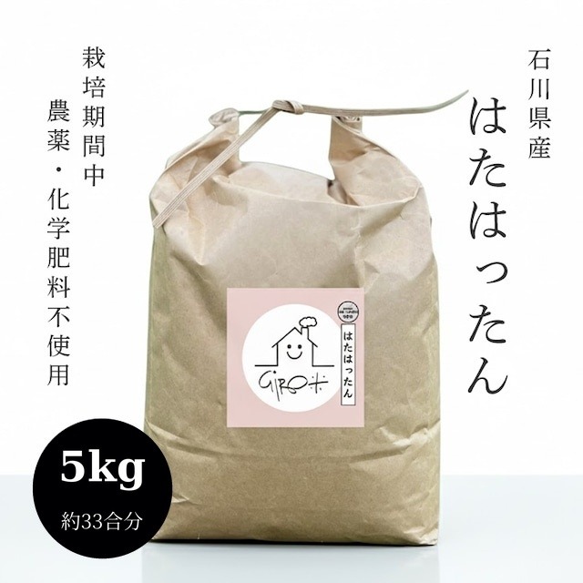 5kg  石川県産「はたはったん」