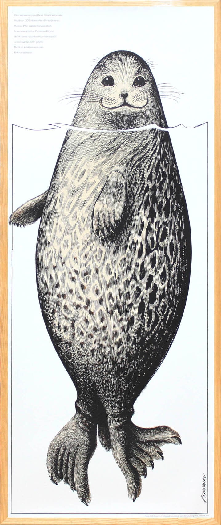 エリック ブルーン/自然保護協会ポスター「サイマーワモンアザラシ