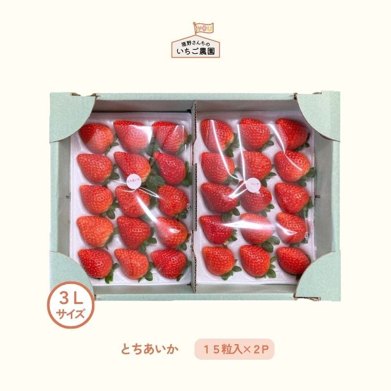 とちあいか（DXサイズ 6粒入り×2P） | 猪野さんちのいちご農園｜産直