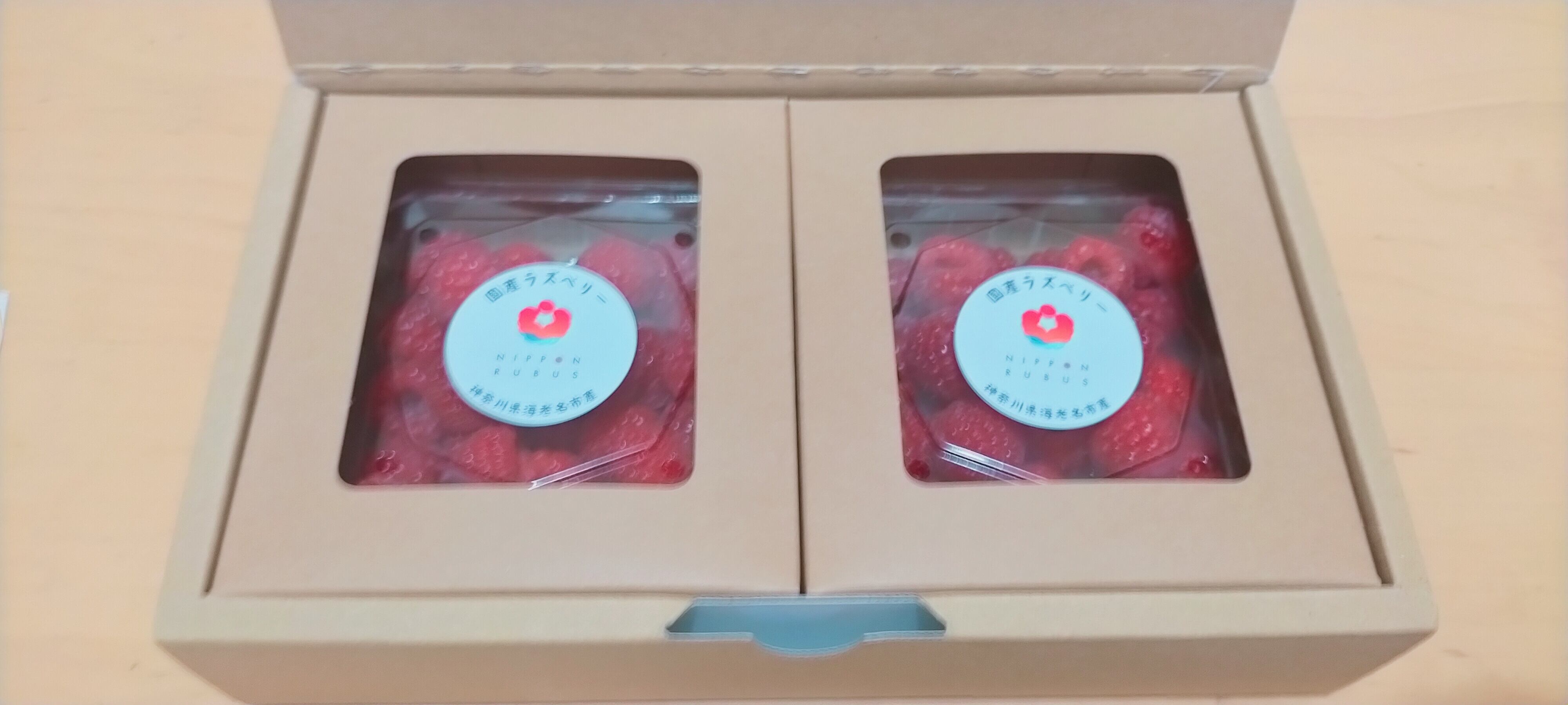 2箱セット（300g）：フレッシュの国産ラズベリー ｜予約販売（農家直送