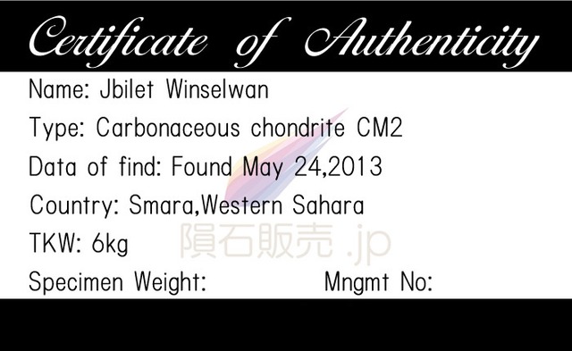 ジビレットウィンセルワン 隕石 g 炭素質コンドライトCM2 石質隕石 標本 Jbilet Winselwan M2603