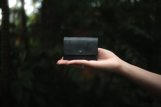 雲 mini wallet