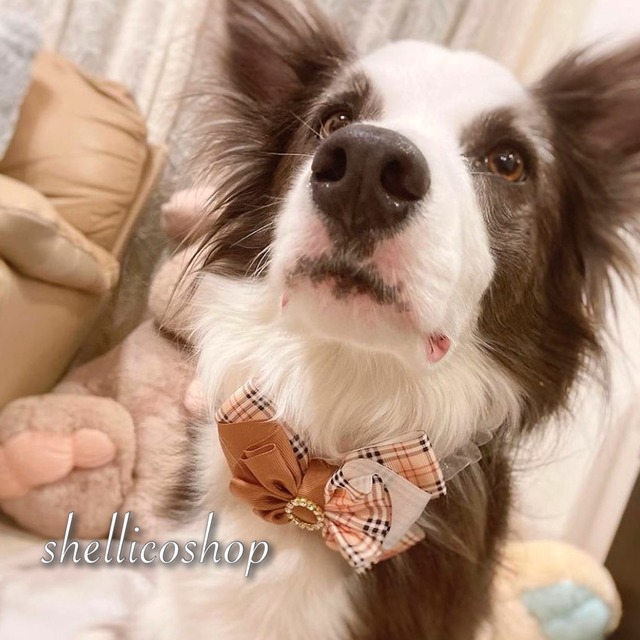 【beigeチェック柄 × brown(バックル:丸型)】ボリュームたっぷりリボンチョーカー