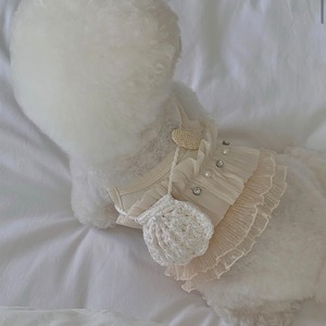 【seenii】SoonSu ops