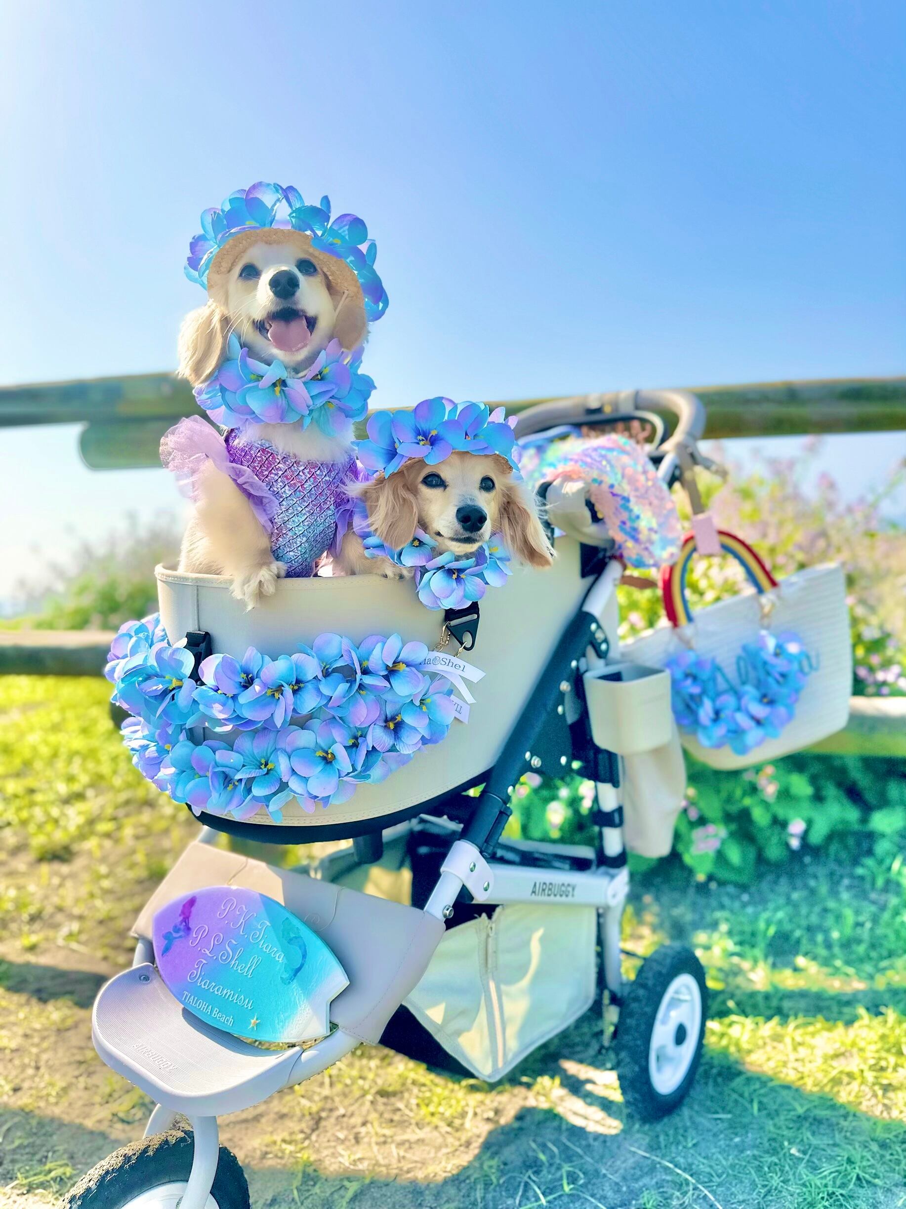 大型犬猫L レアマーメイド