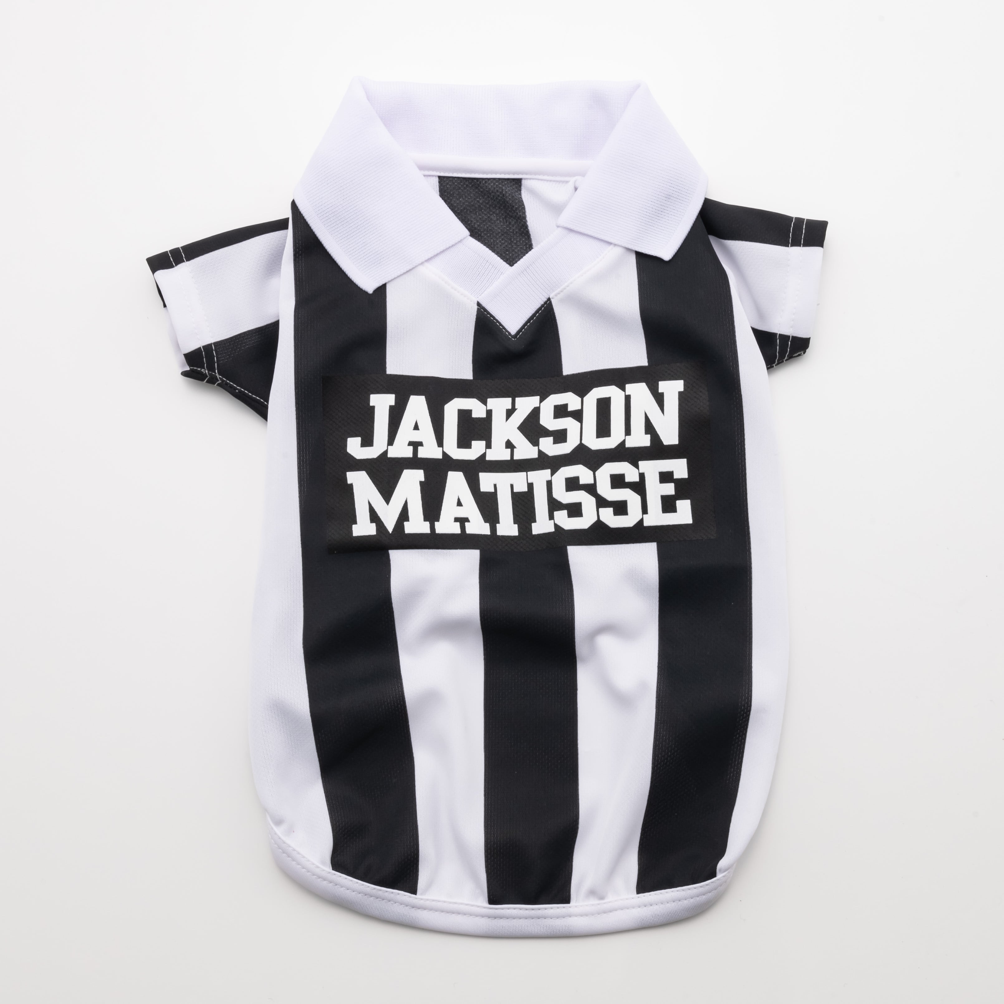 GAME Shirts | JACKSON MATISSE PETS