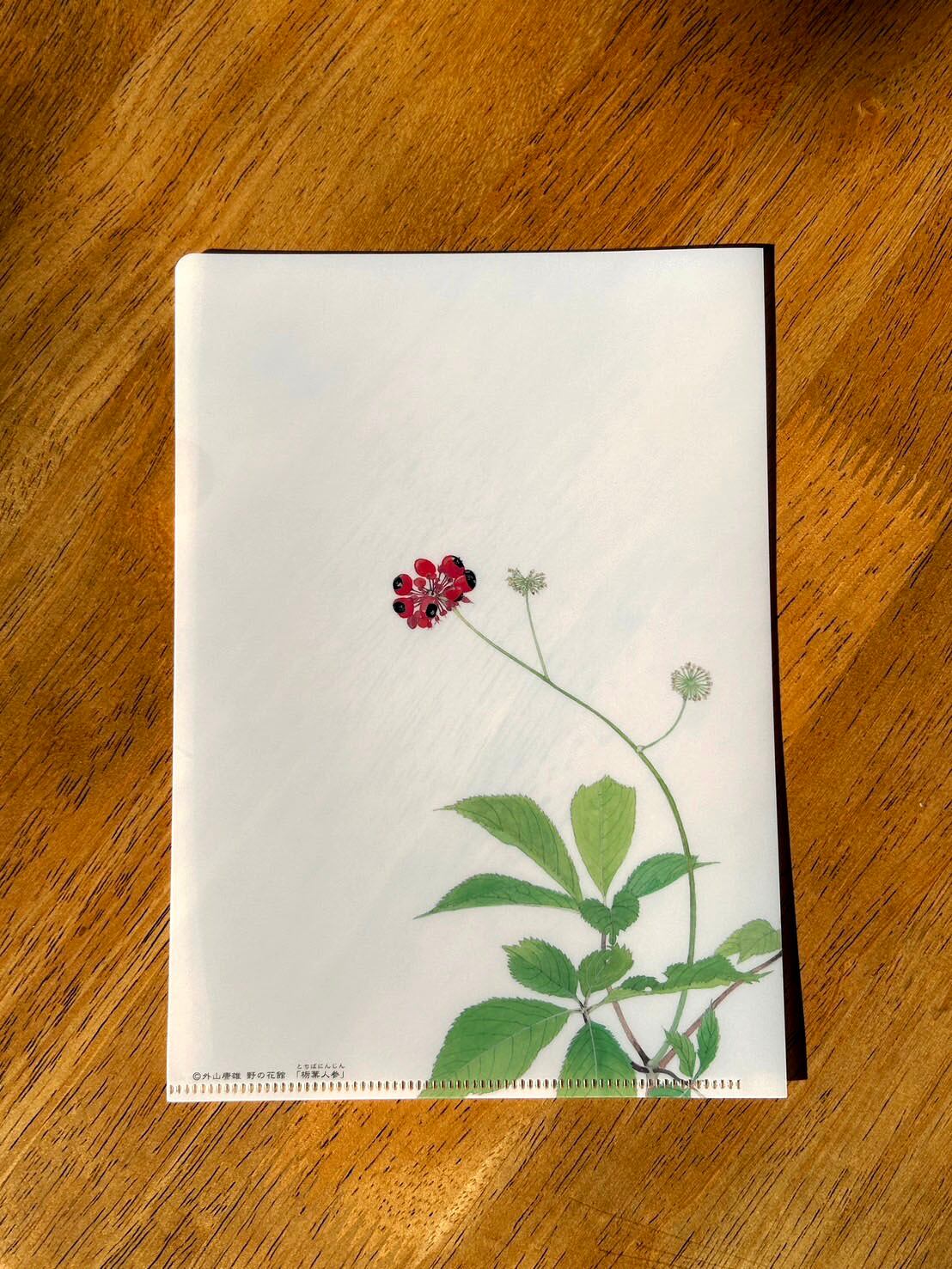 外山康雄 野の花館 オンラインショップ