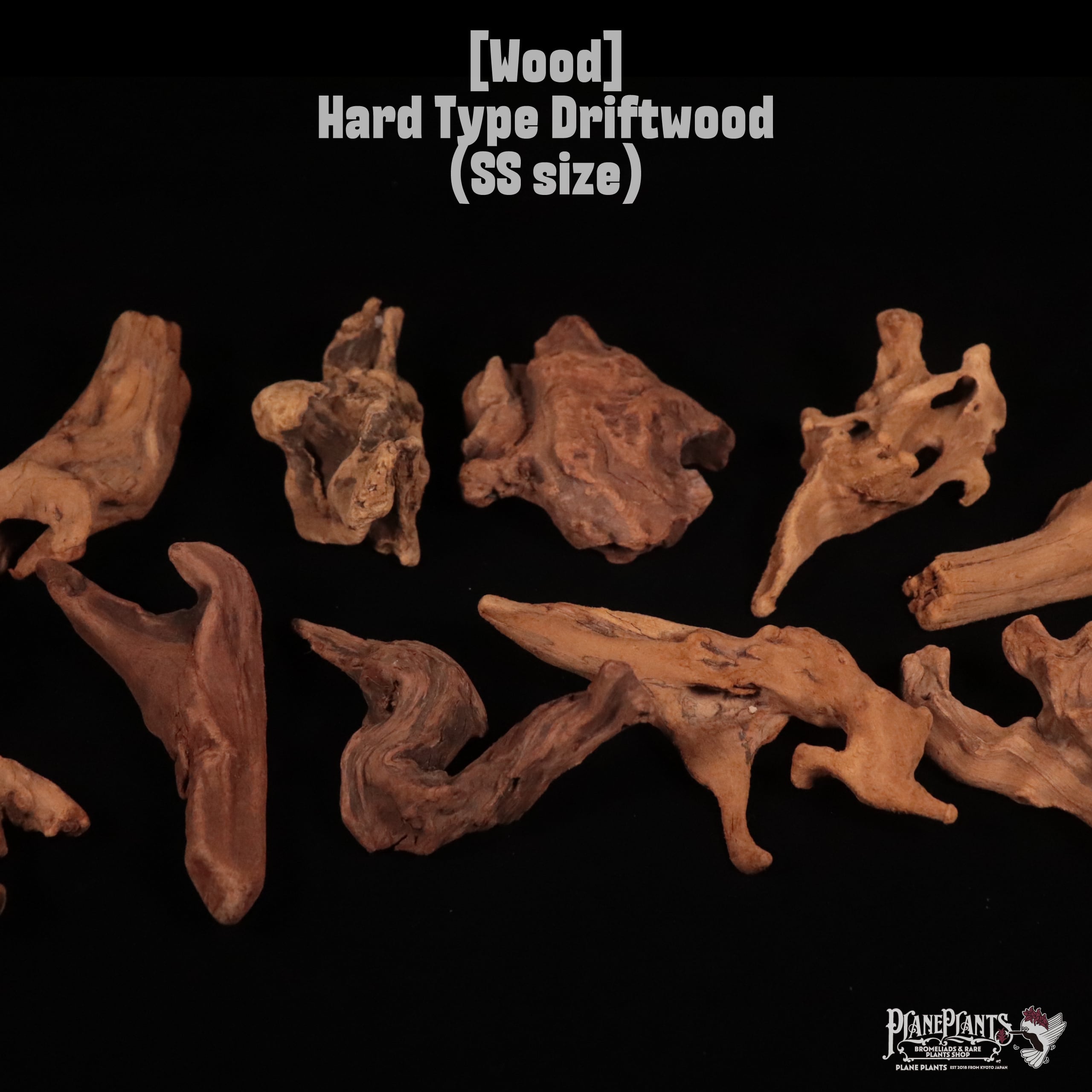 【送料別】Hard Type Driftwood (SS size)