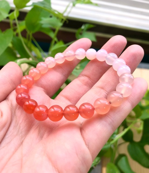 新鮮にワクワクを