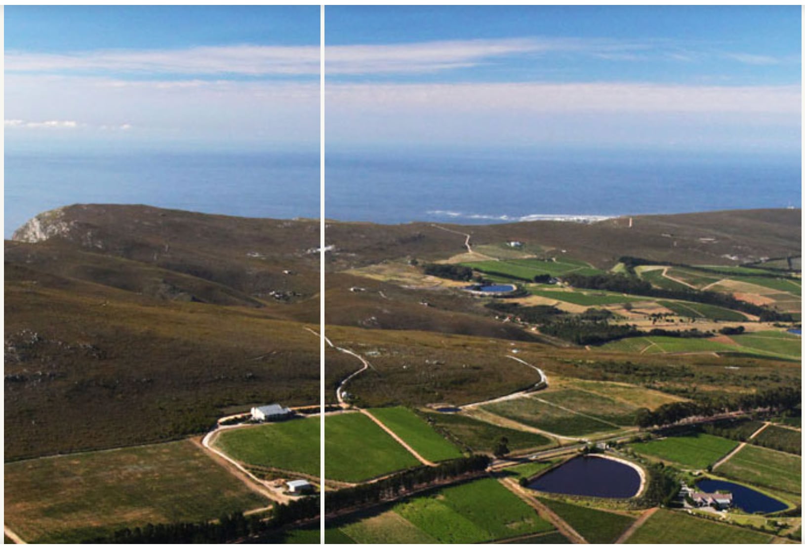 【ニュートン・ジョンソン・ワインズ】アルバリーニョ 2022