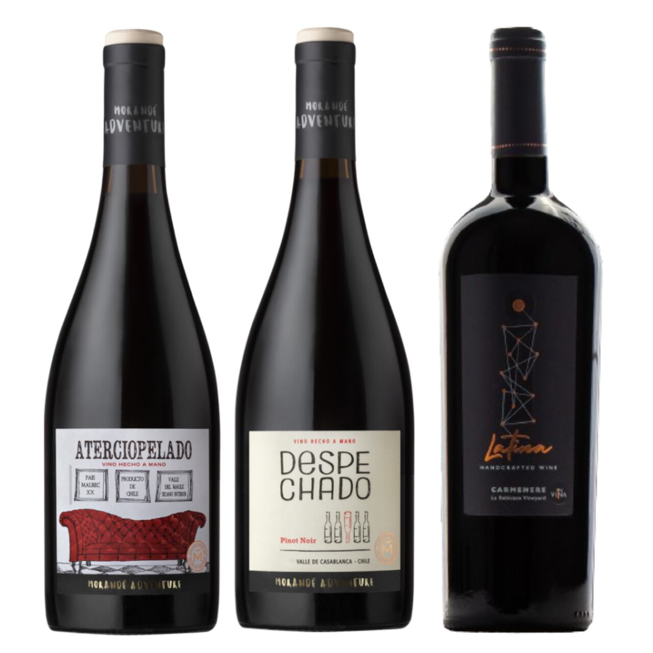 ⑥【社員Sイチ押し】チリワイン・エキスパートがオススメする、赤3本セット 〈数量限定〉