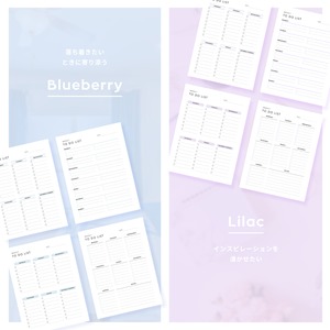 週間ToDoリスト┊︎6色&4種類セット┊︎やることリスト