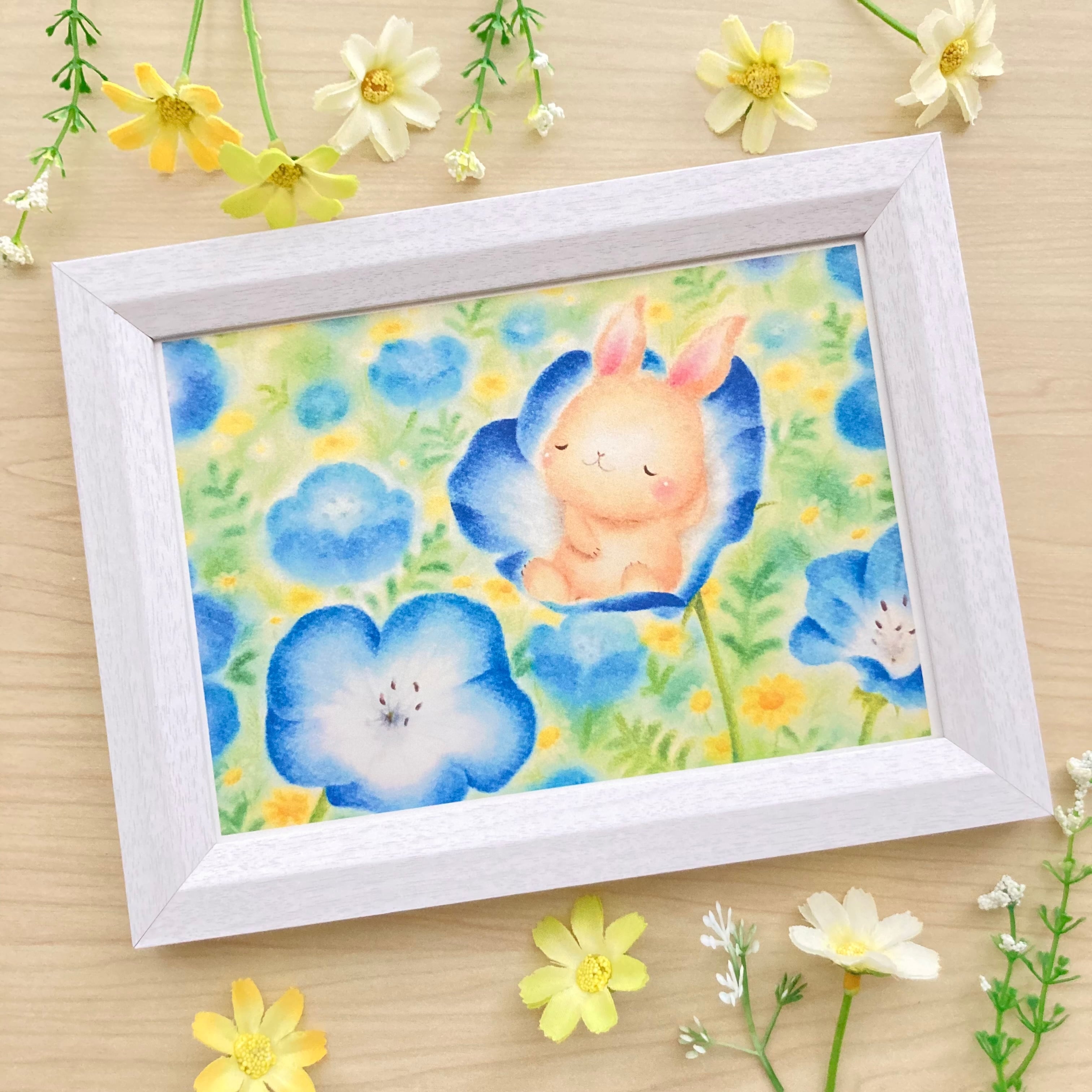 額装原画「ネモフィラで眠るうさぎ」 | aimi Online-shop