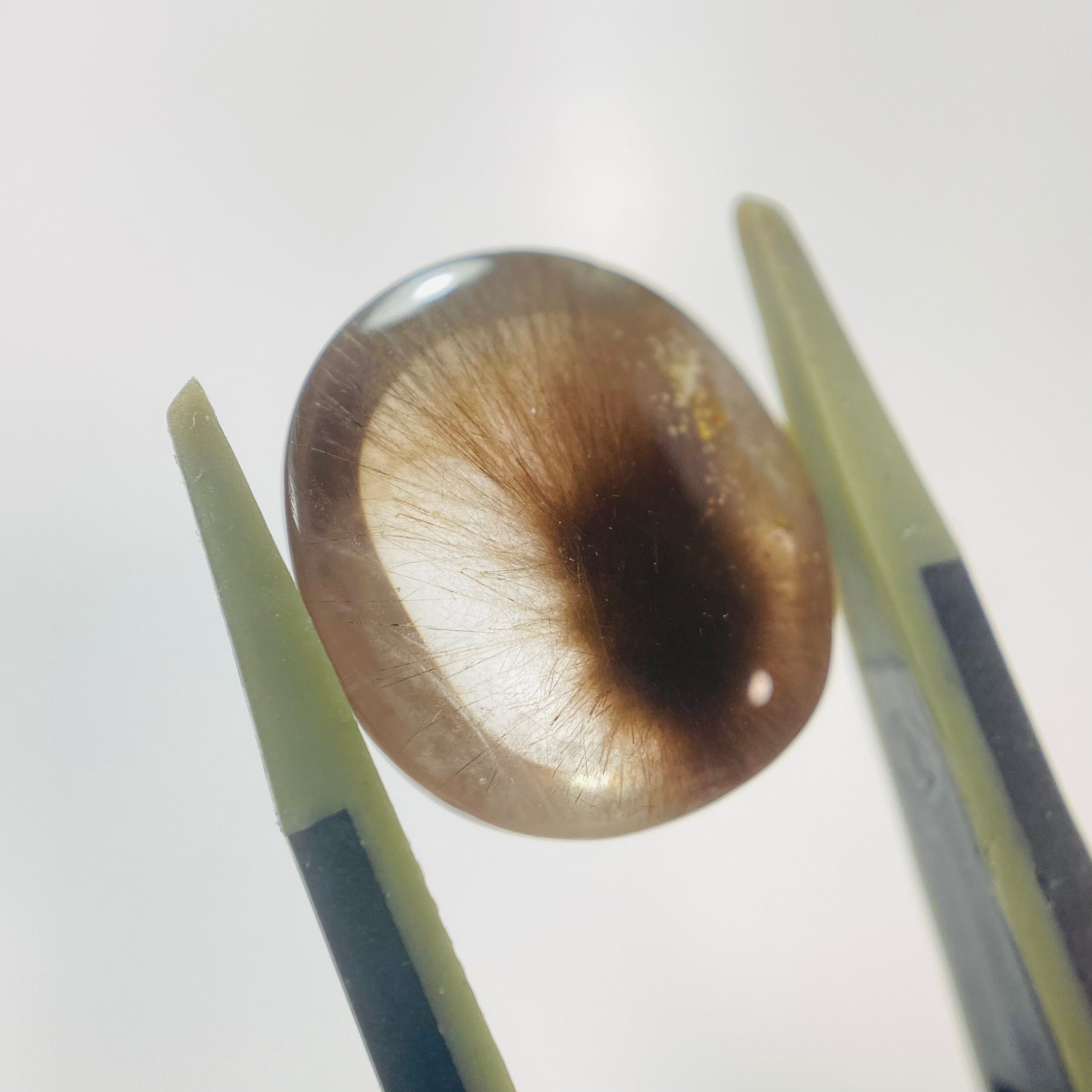 2024新種 ポンポンクオーツ