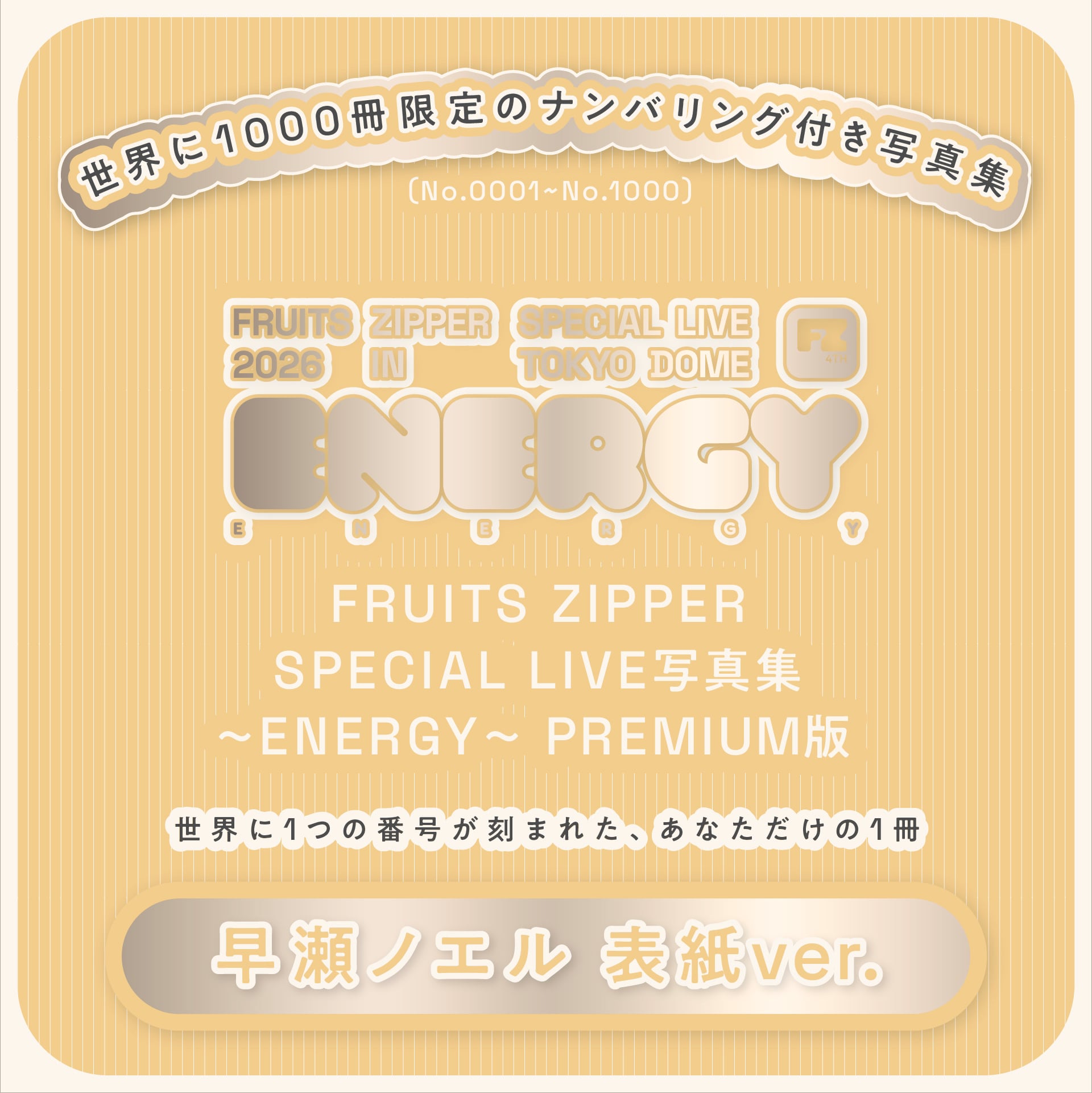 在庫残りわずか※【PREMIUM版】FRUITS ZIPPER SPECIAL LIVE写真集 早瀬