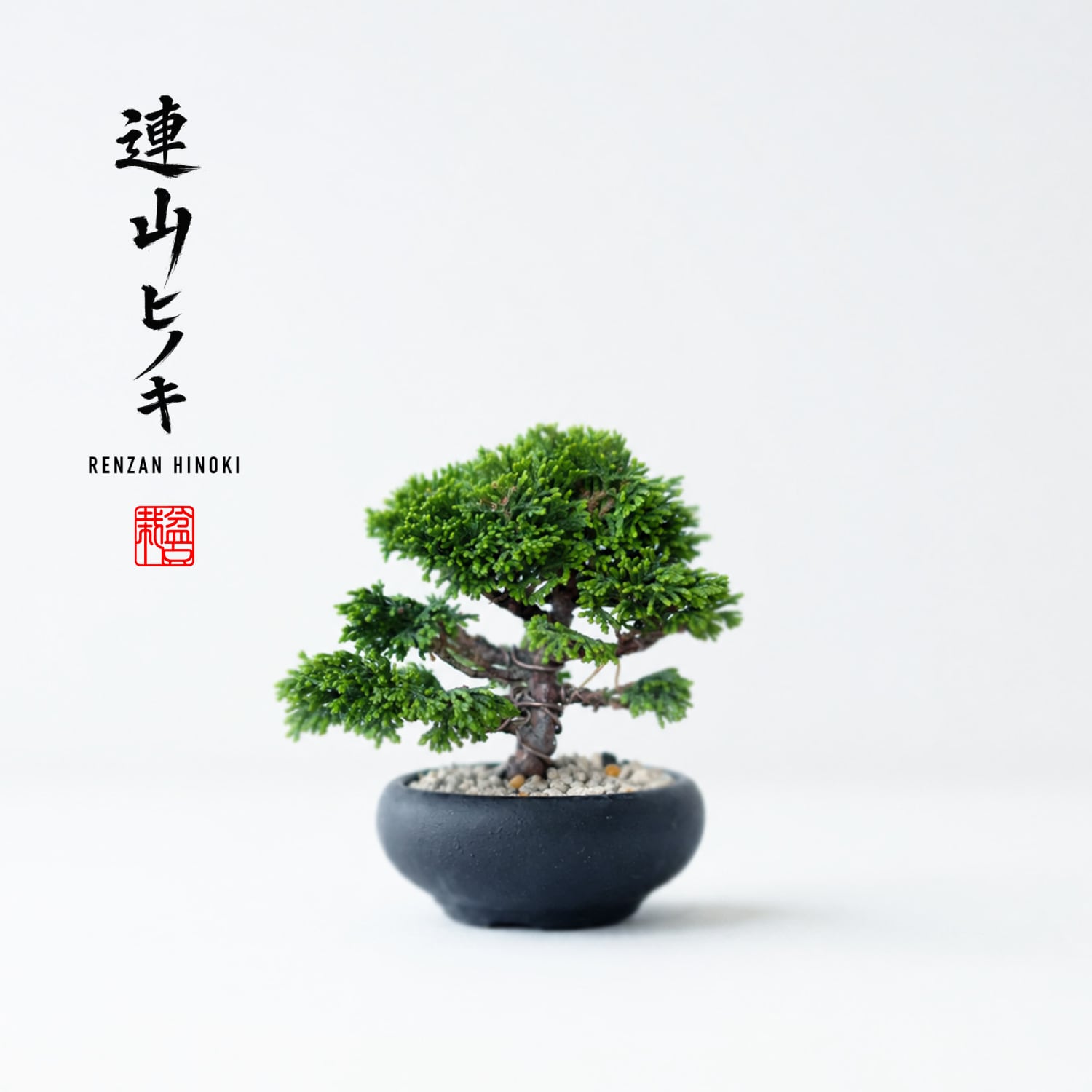 連山檜(レンザンヒノキ)Sサイズ
