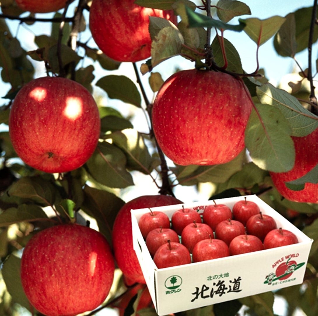 JA余市 りんご(ふじ)3kg 受付12/3迄・発送12/5~