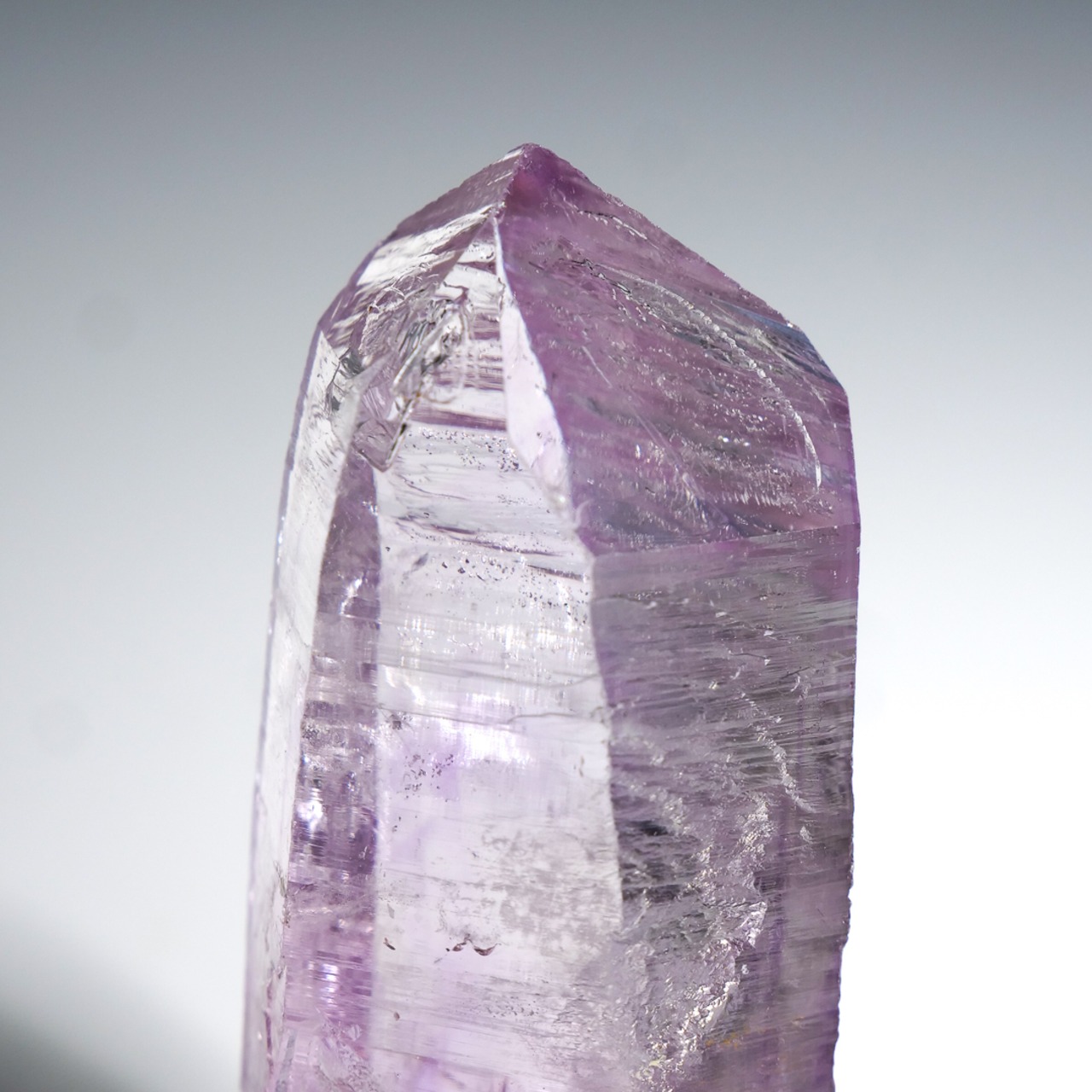 ベラクルス アメシスト アメジスト / 原石 標本