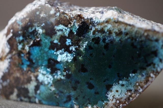 ジャワ島産ブルーペトリファイドウッド Blue Opalized Petrified Wood 2274