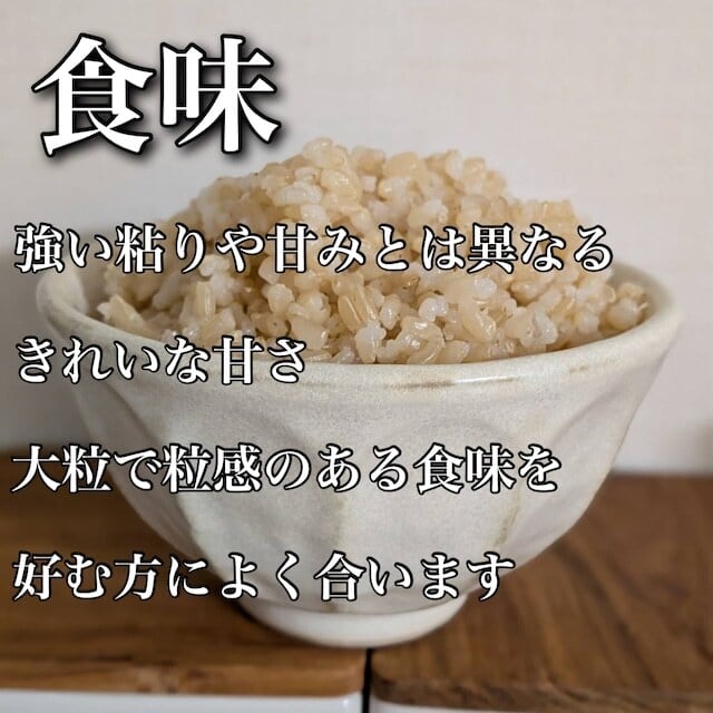 岡山県産 朝日米 10kg｜玄米・白米｜無農薬｜自然栽培｜7年産 | 自然