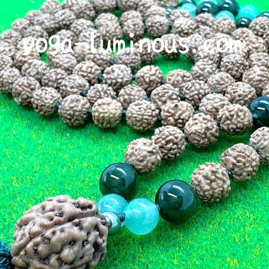 聖なるルドラクシャ