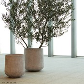 TERRAMENT　CUBE8号