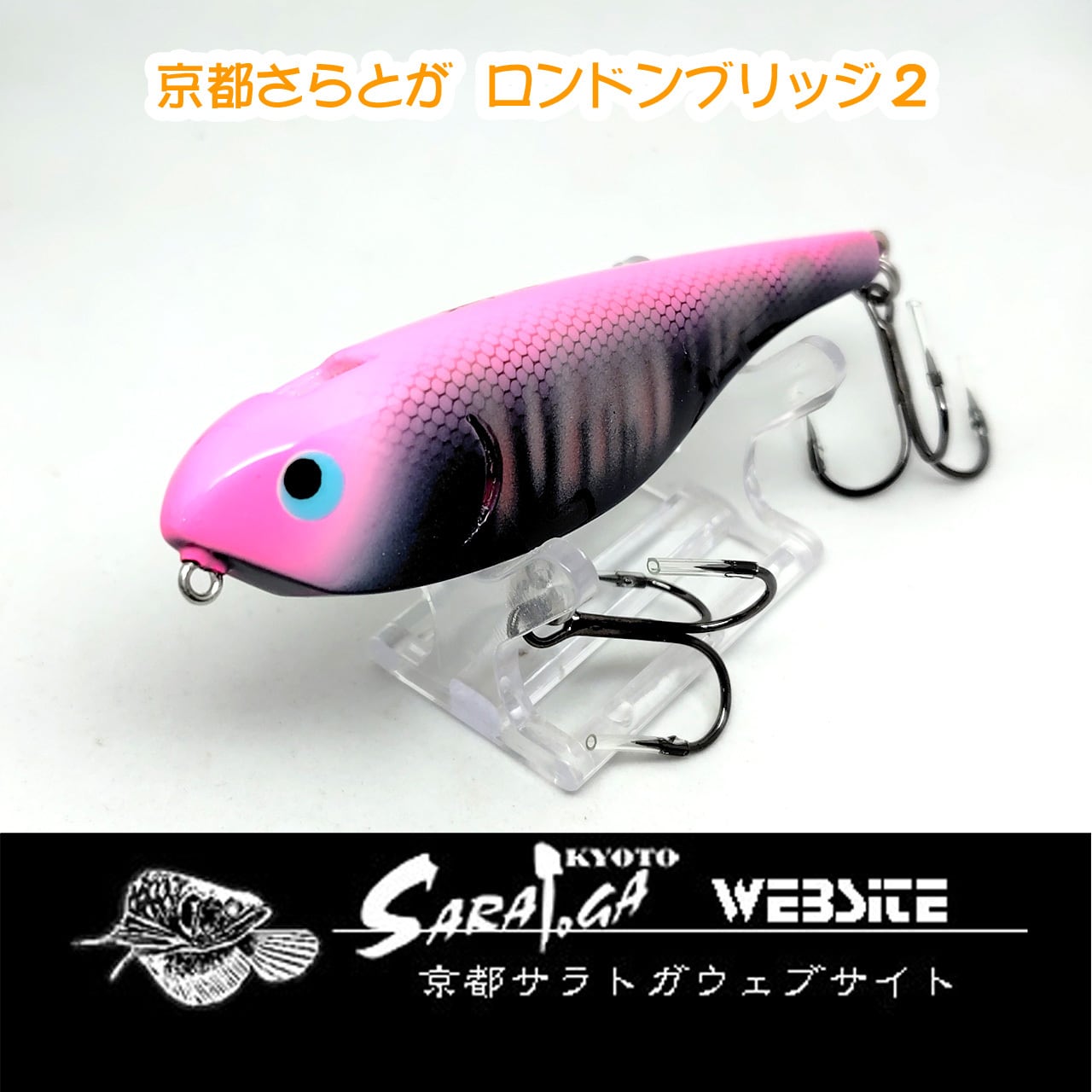 ザウルス ヨルマルミノー | 京都さらとが