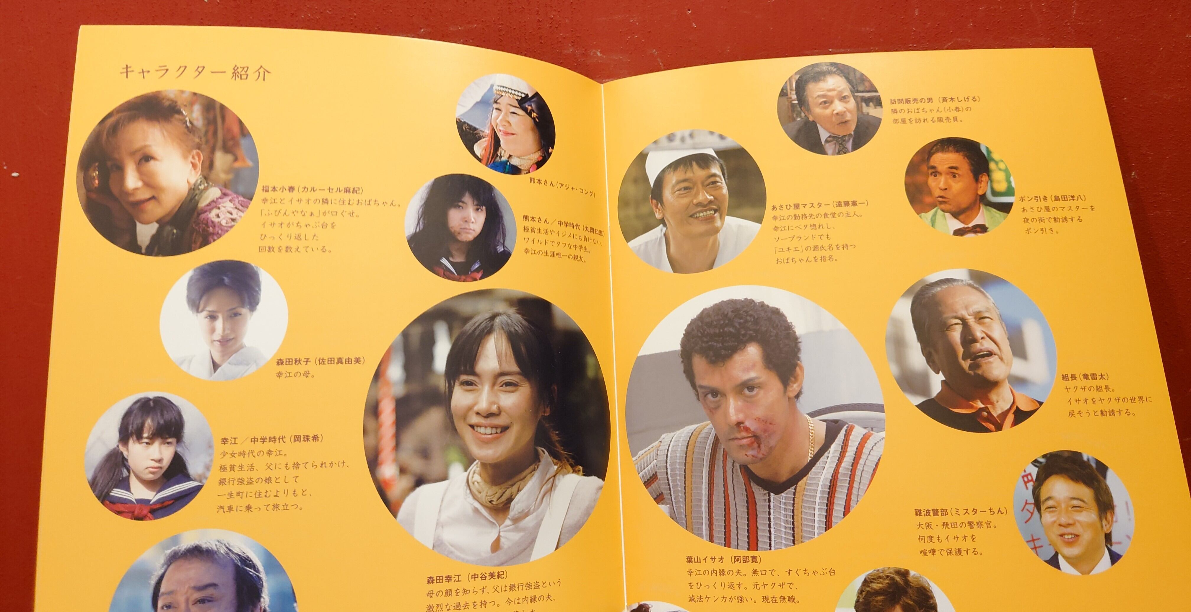 自虐の詩 映画パンフレット | 弥生坂 緑の本棚