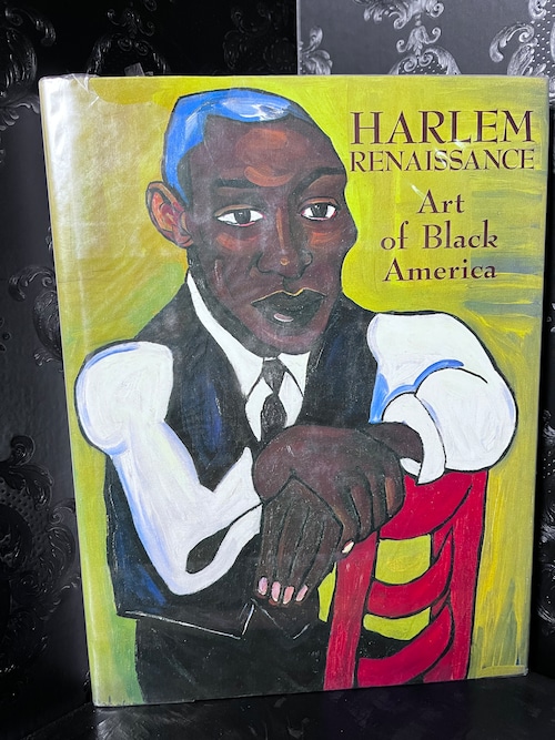 HARLEM RENAISSANCE  Art of  Black America