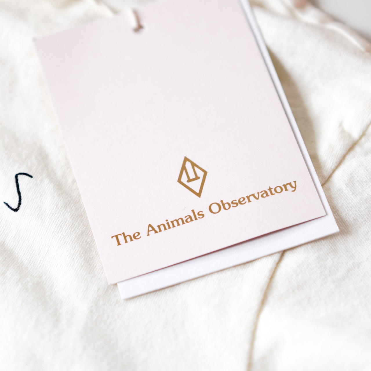 THE ANIMALS OBSERVATORY 23SS / ROOSTER KIDS+ T-SHIRT  " Tシャツ " / 6Y〜12Y