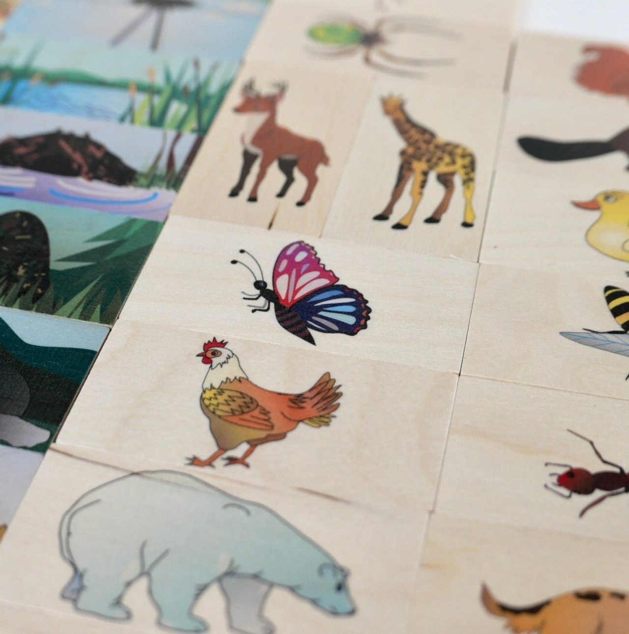 デュシマ社 アニマルリビング