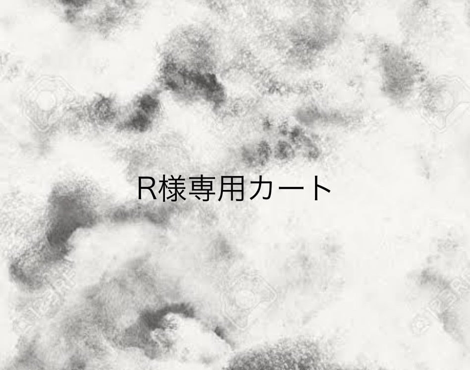 R様専用カート | soluire