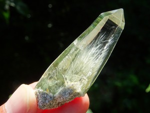 エンジェルフェザーガネーシュヒマール(クローライト&角閃石?in、ダブルドルフィン)