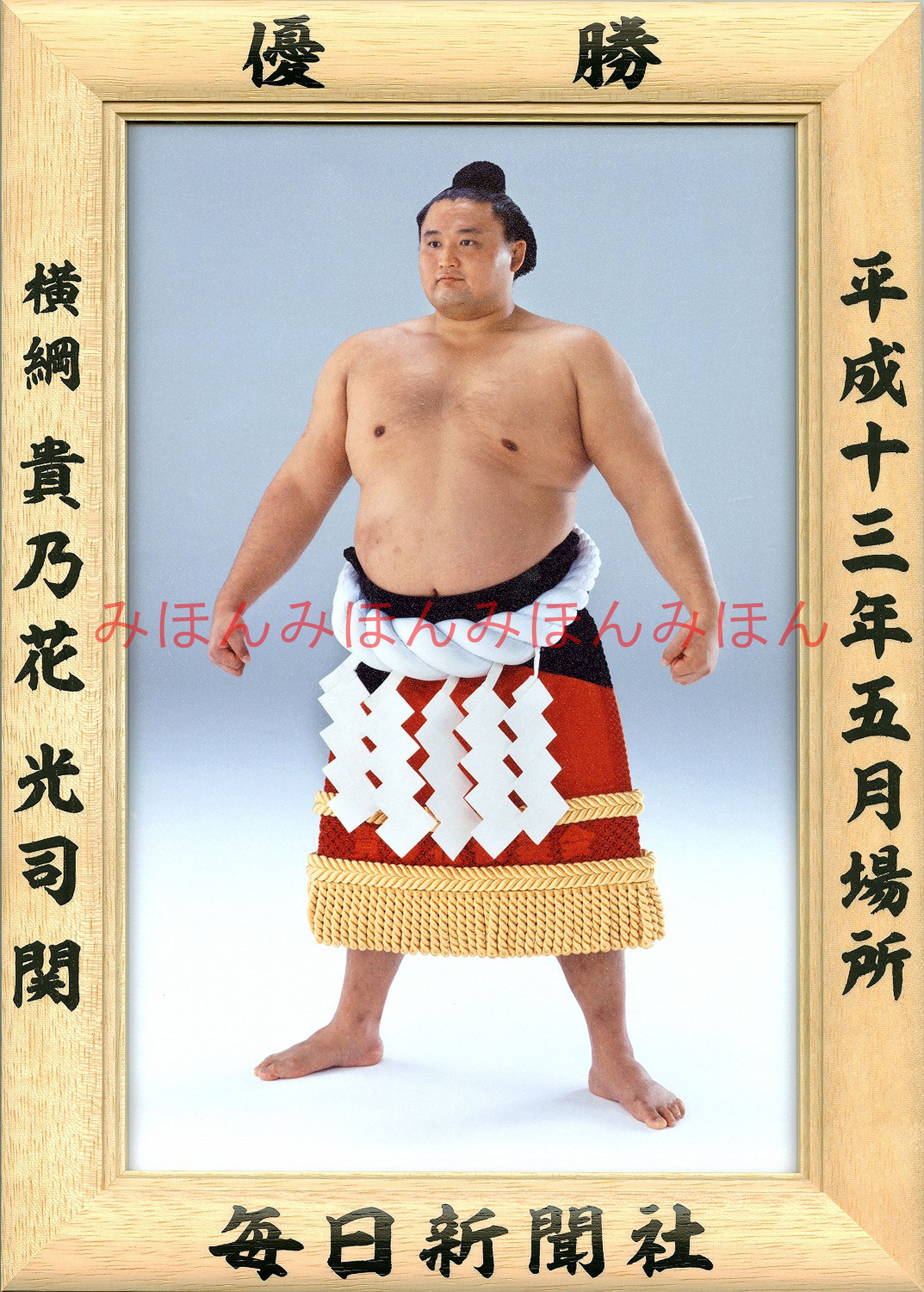 平成１３年５月場所優勝　横綱　貴乃花光司関（２２回目最後の優勝） | 大相撲まいにち部屋（大相撲優勝ミニ額販売公式サイト） powered by  BASE