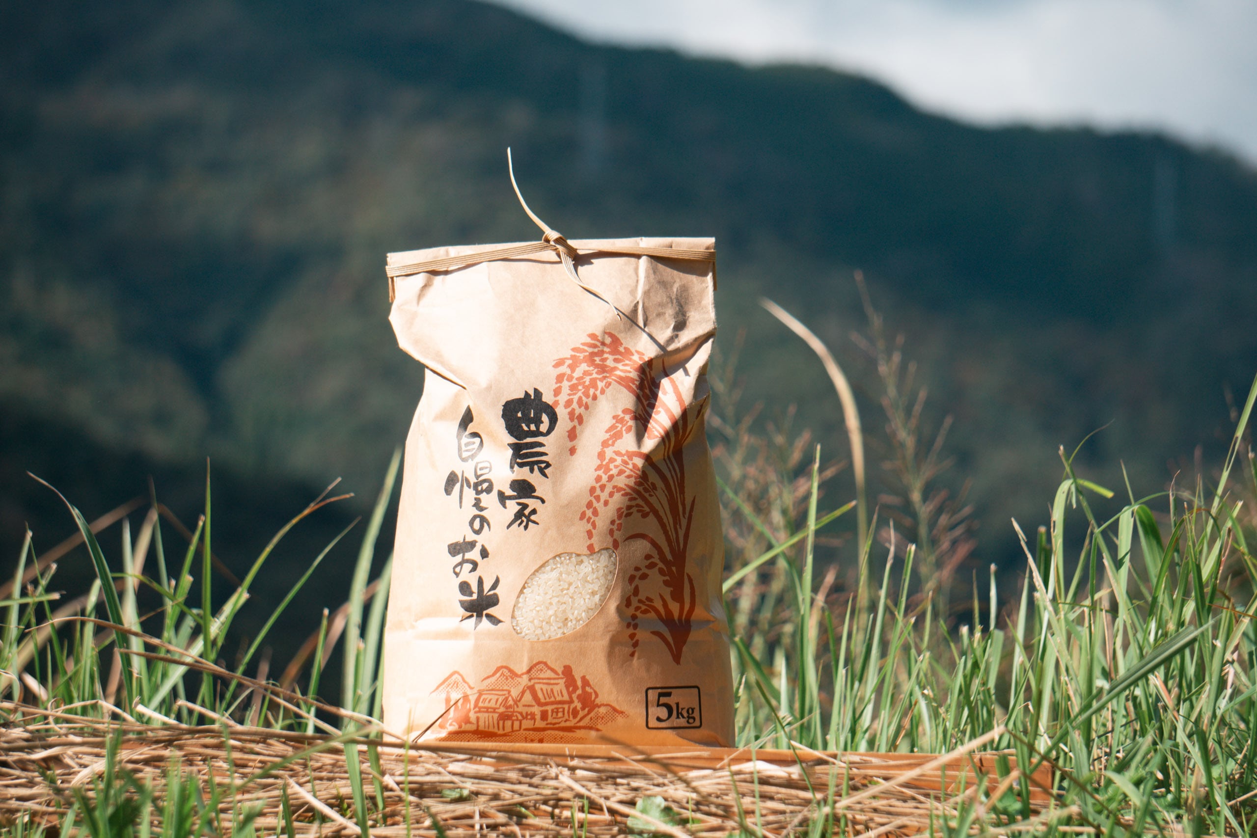 【R8年新米】京都産 コシヒカリ(精白米)|5kg|農薬・化学肥料・除草剤不使用|産地直送