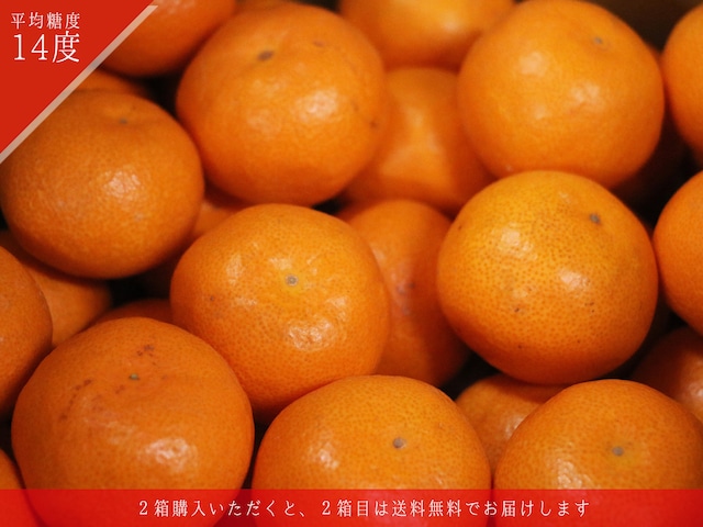 プレミアムオレンジジュース「奇跡」
