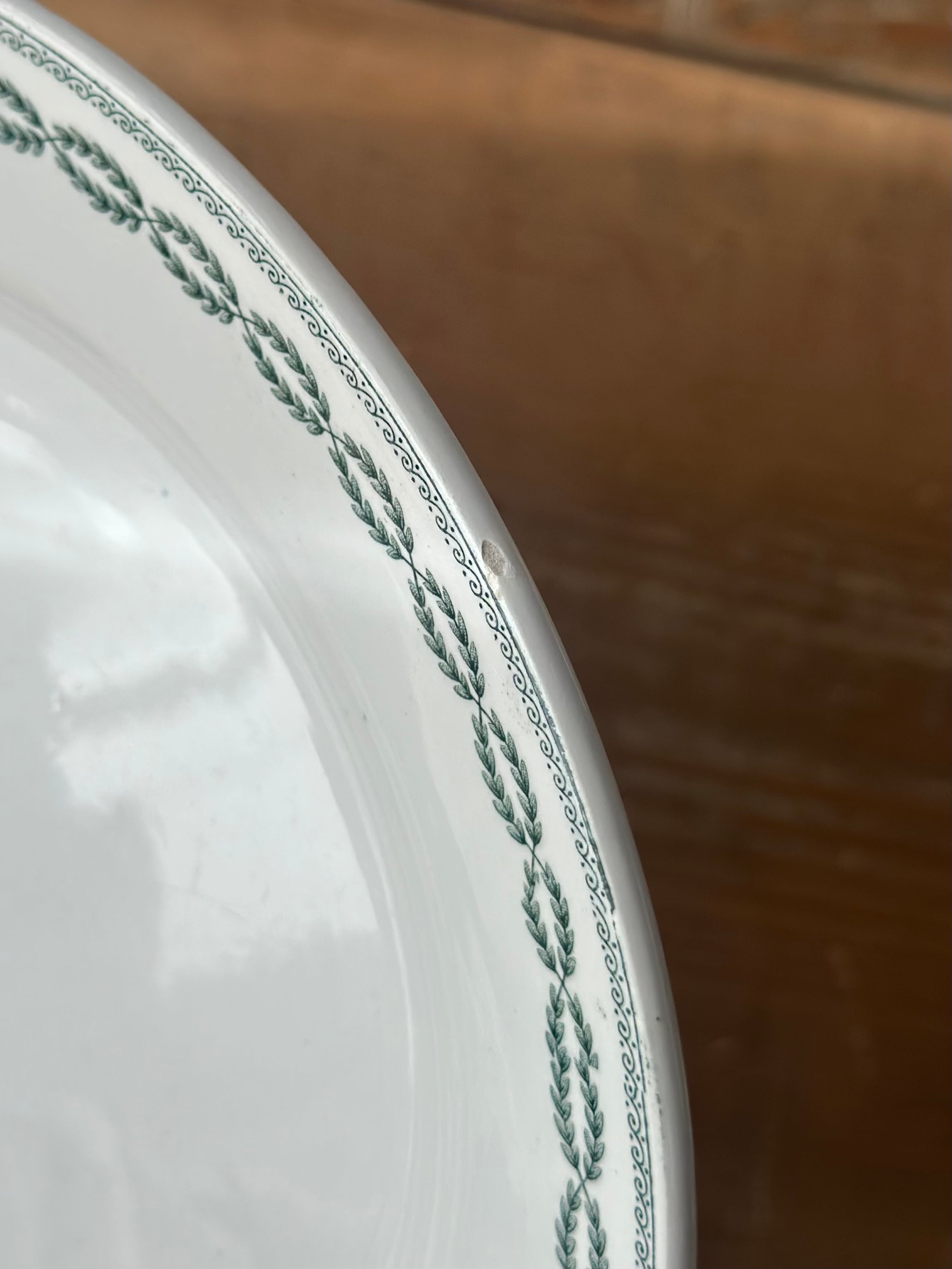 Sarreguemines サルグミンヌ / “NOBILIS” ローリエ模様の平皿プレート