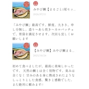 みやび鯛【まるごと2尾セット】