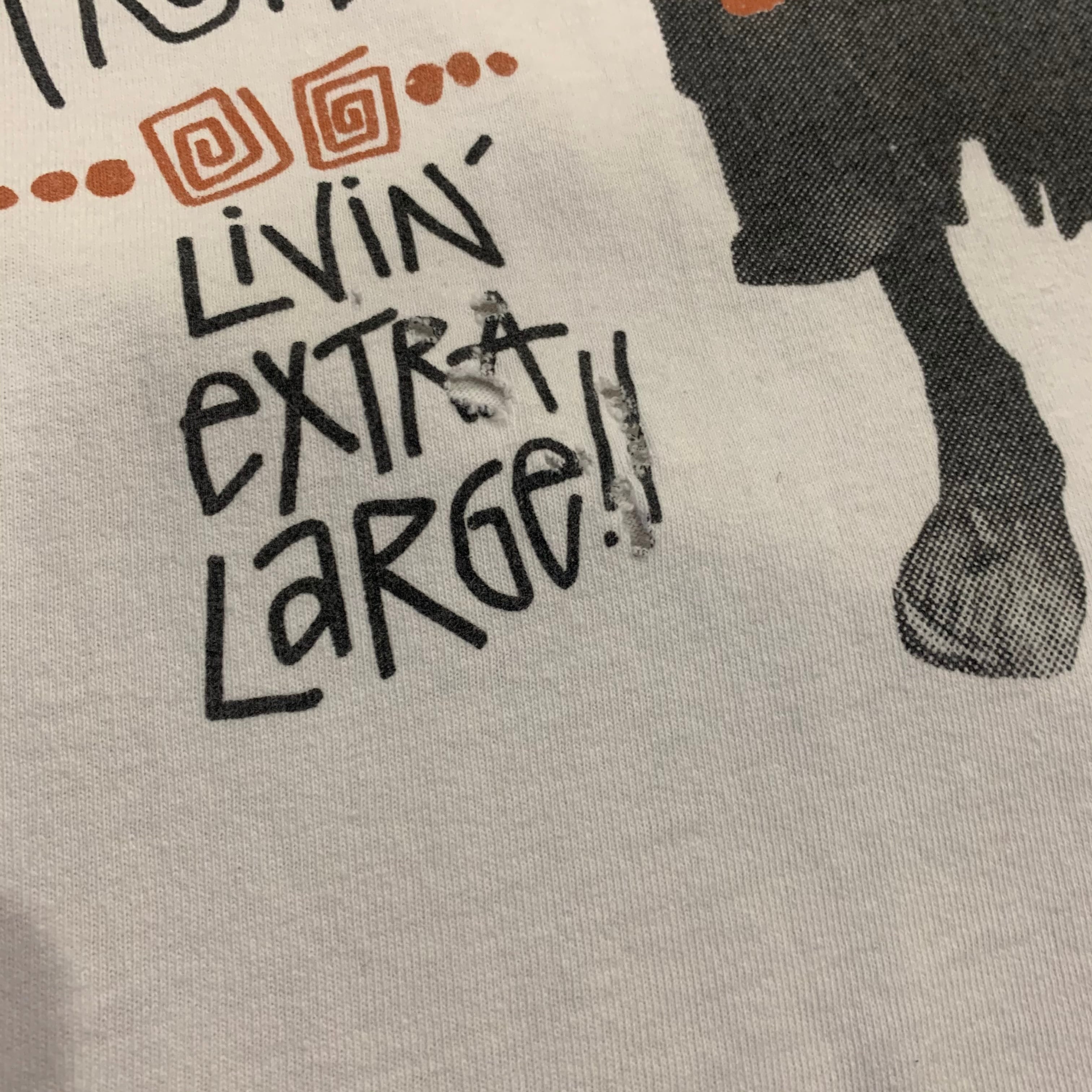 Special‼︎80s old stussy T-shirt | What'z up