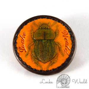 Brooch  Scarab beetle
