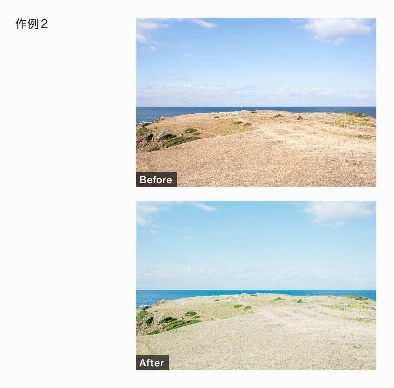 Lightroomプリセット YAMACOLOR 200