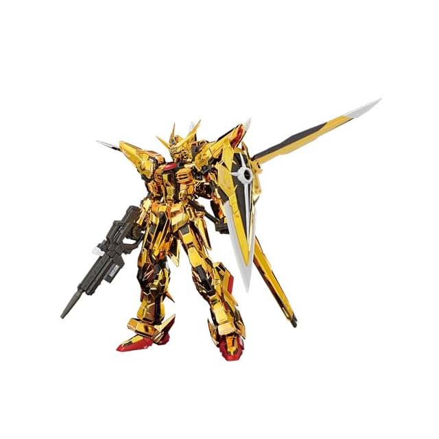 BANDAI SPIRITS(バンダイスピリッツ) RG 機動戦士ガンダムSEED DESTINY
