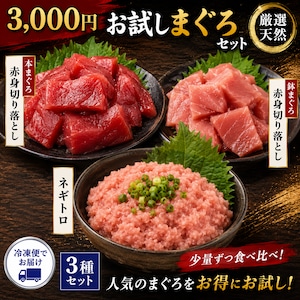 初めての丸森セット