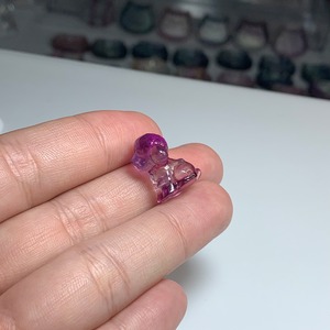 19.可愛いフローライト･トイプードル