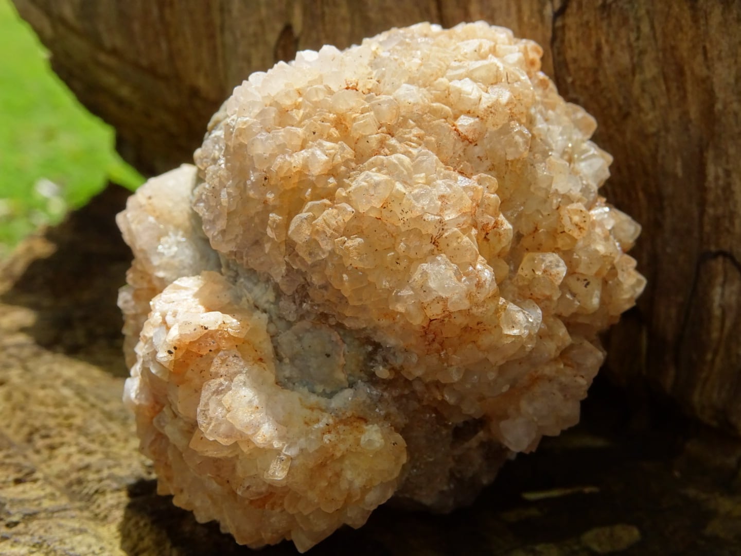 セドナ産コーラルフェアリーストーン(Super Rare) ~Sedona.海の記憶~